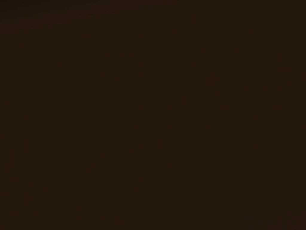 Cotton Jersey Solid Brown