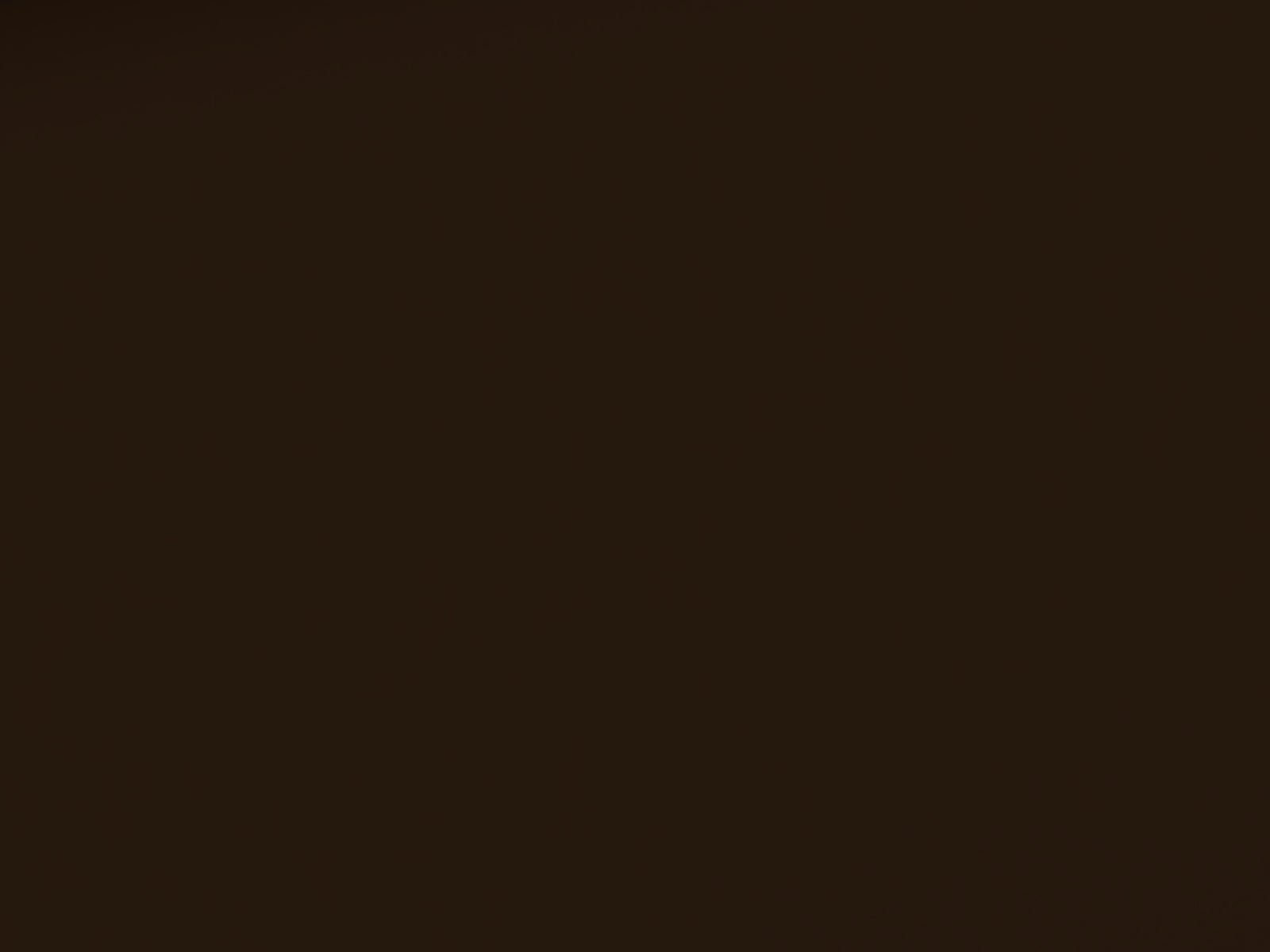 Cotton Jersey Solid Brown