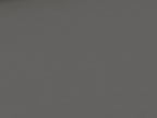Cotton Jersey Plain Gray
