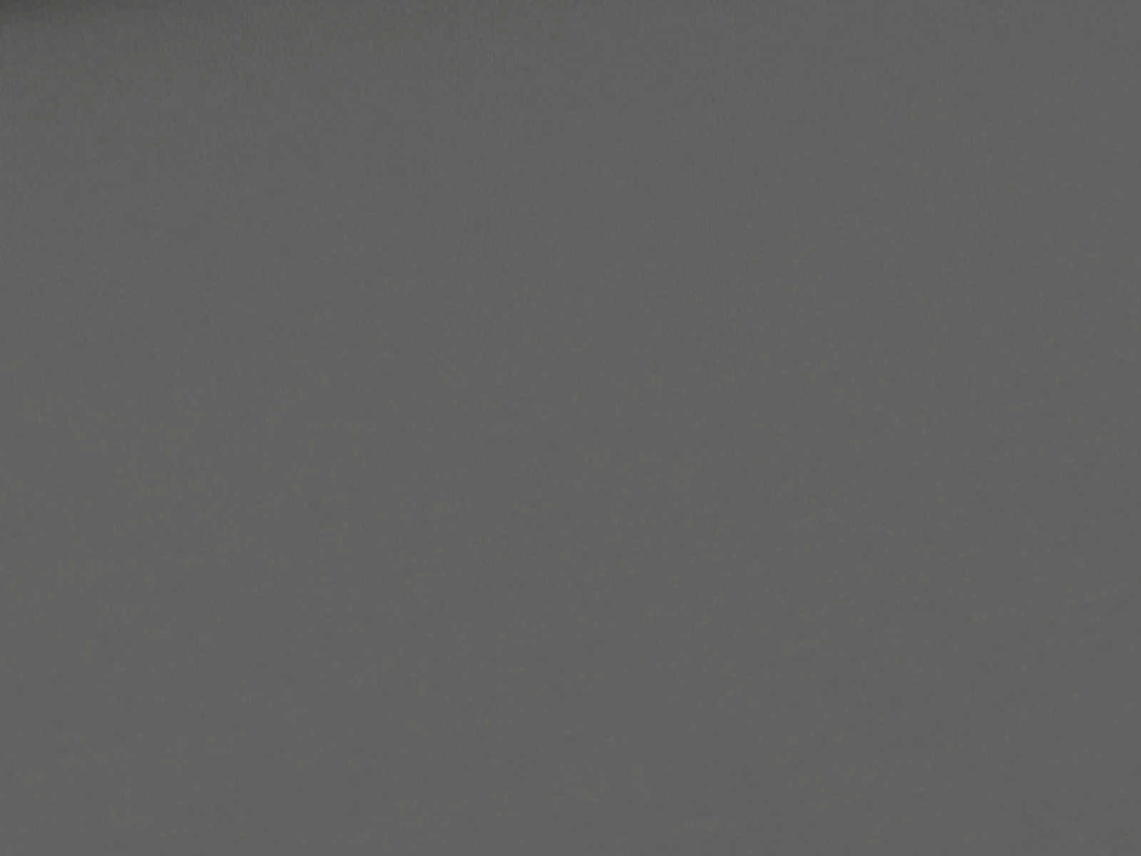Cotton Jersey Plain Gray