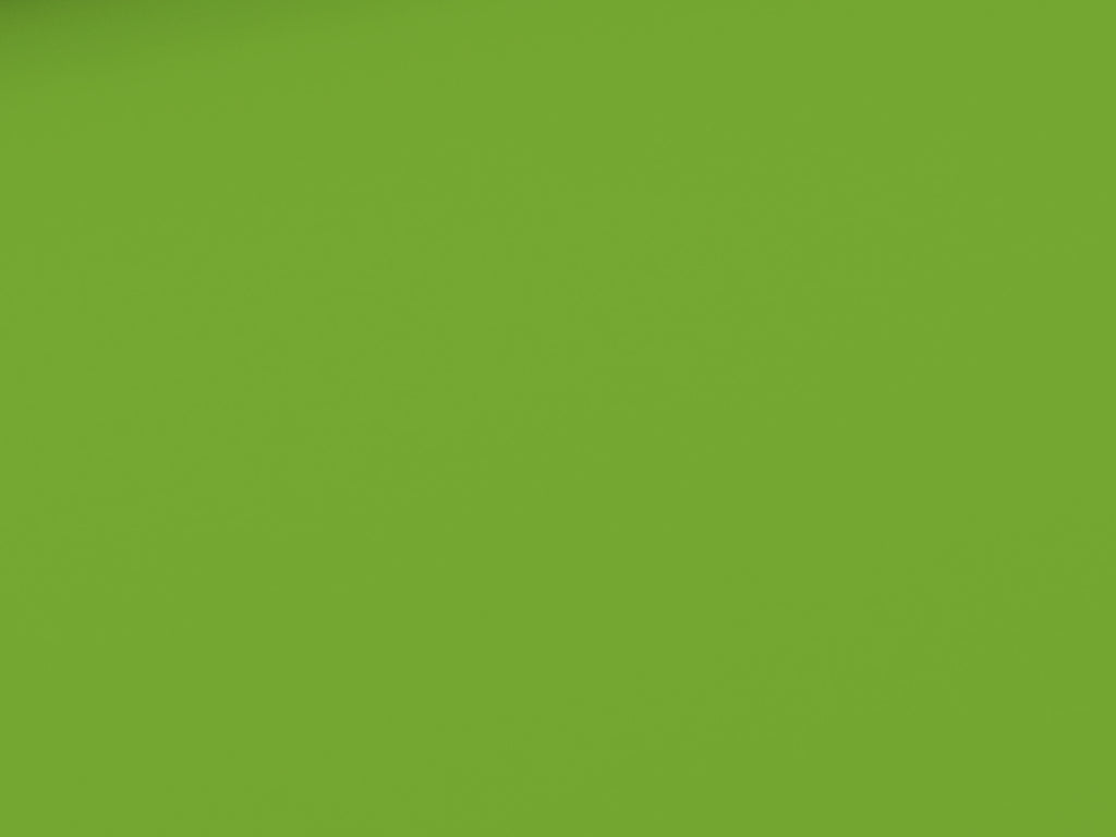 Cotton Jersey Plain Light Green