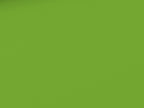 Cotton Jersey Plain Light Green