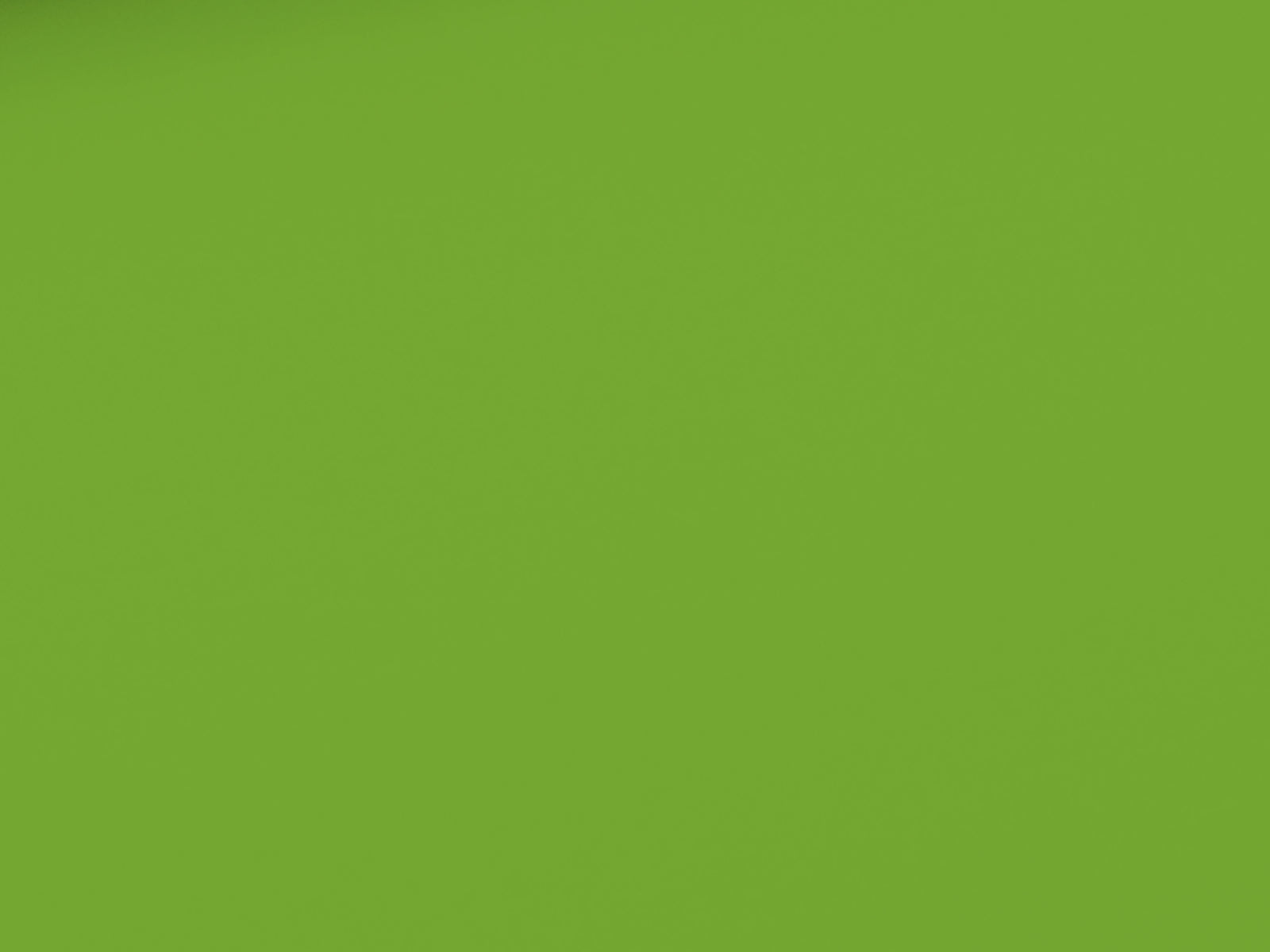 Cotton Jersey Plain Light Green