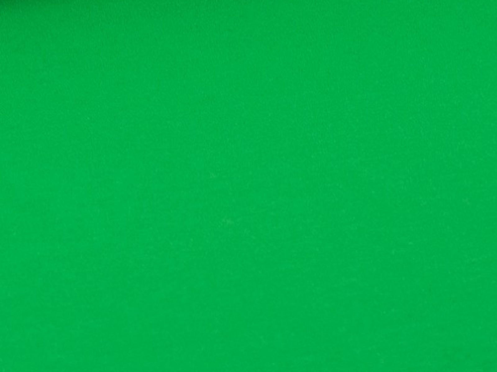 Cotton Jersey Plain Green