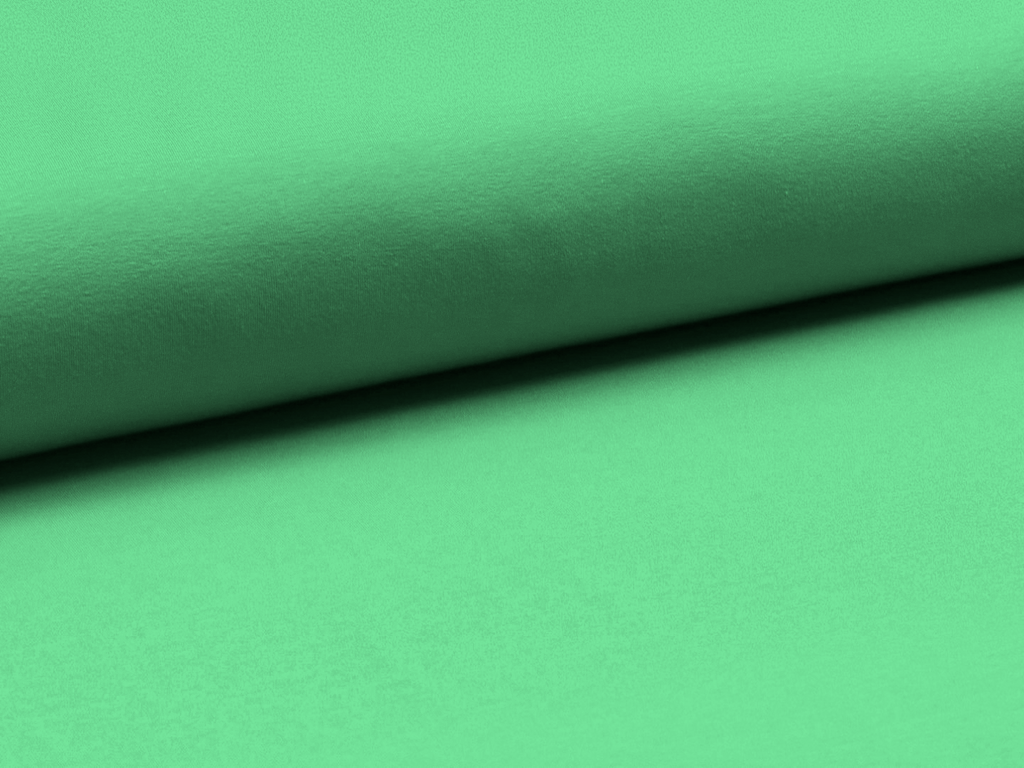 Cotton Jersey Solid Mint