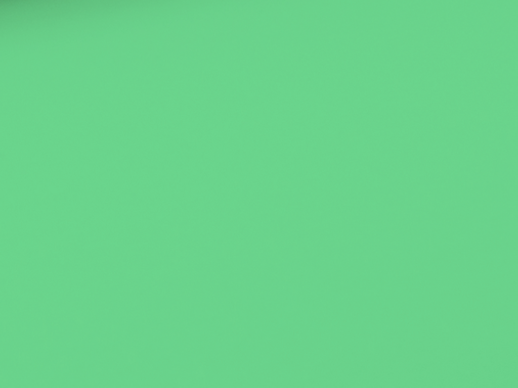 Cotton Jersey Solid Mint