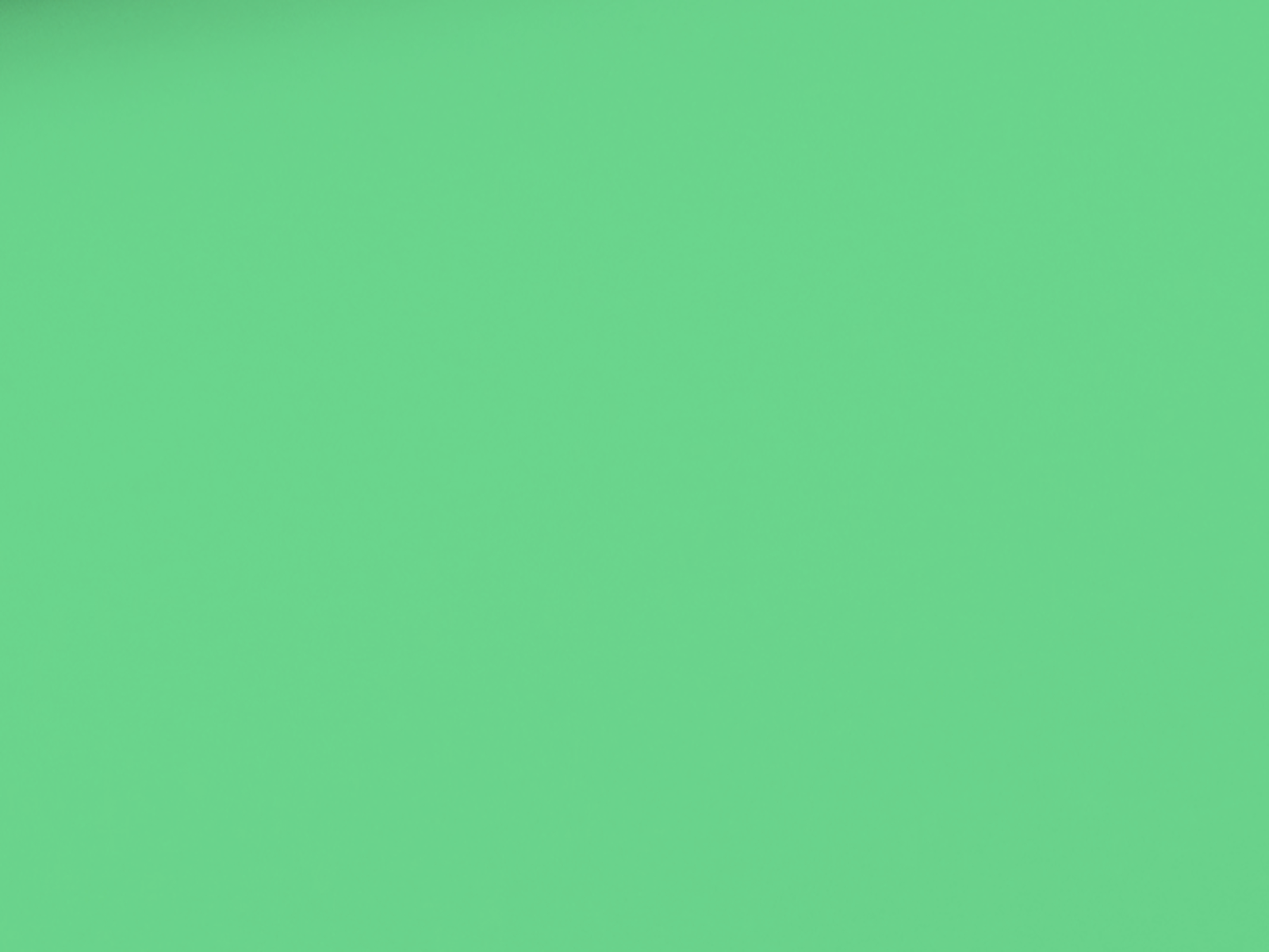 Cotton Jersey Solid Mint
