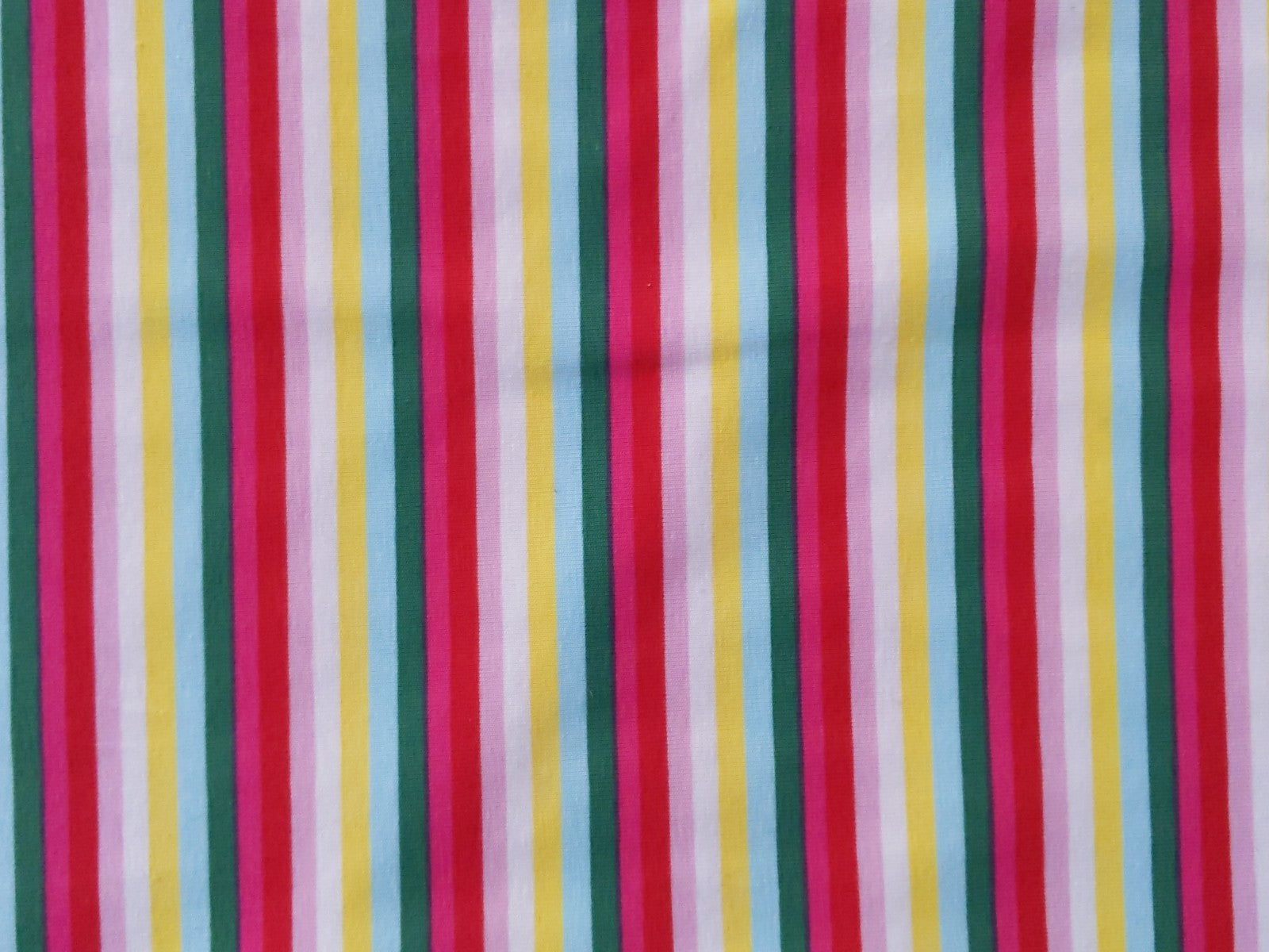 Baumwolljersey Panel ca 100 cm Erdbeere auf Blumen
