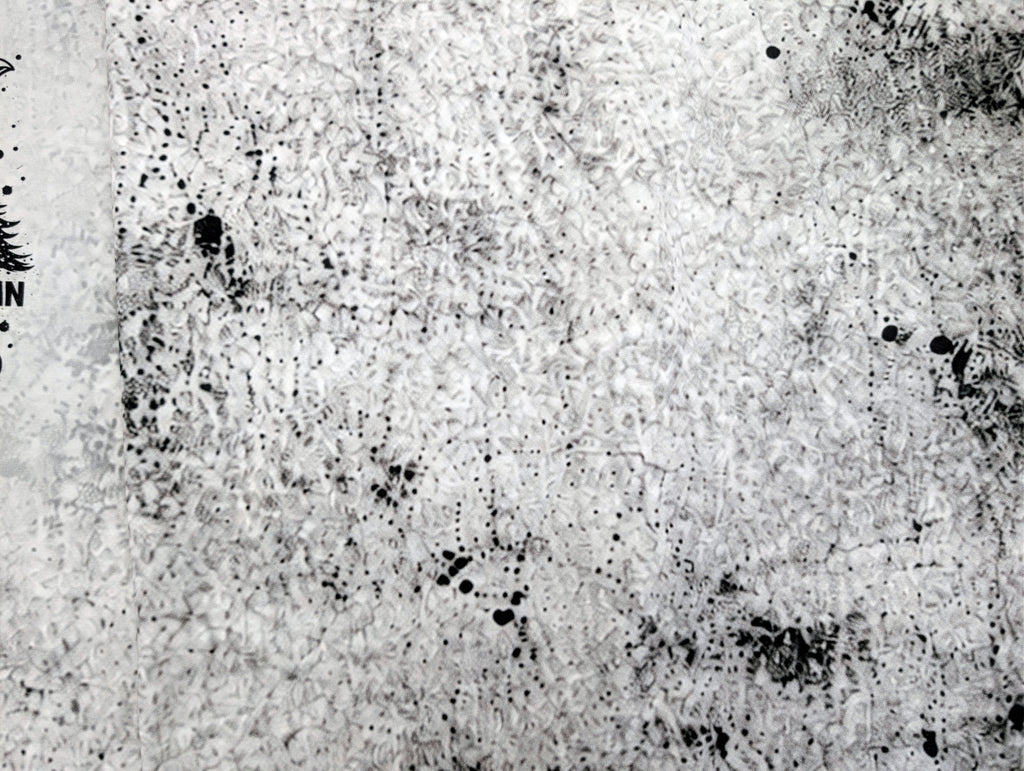 Baumwolljersey Panel Möwe Was Stimmt nicht mit dir? 75 x 165 cm