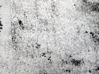 Baumwolljersey Panel Möwe Was Stimmt nicht mit dir? 75 x 165 cm