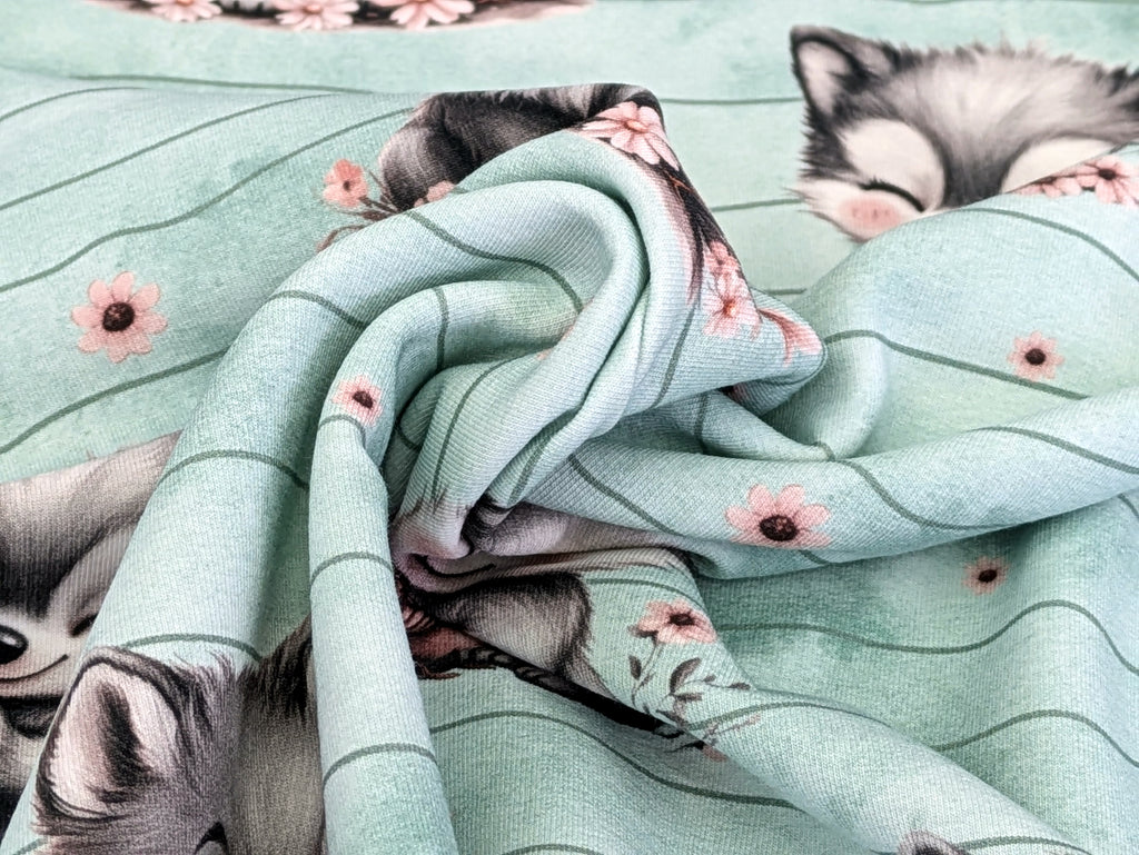 In-house Production French Terry Sweet Wolf with Bird Stripes on Mint/Green