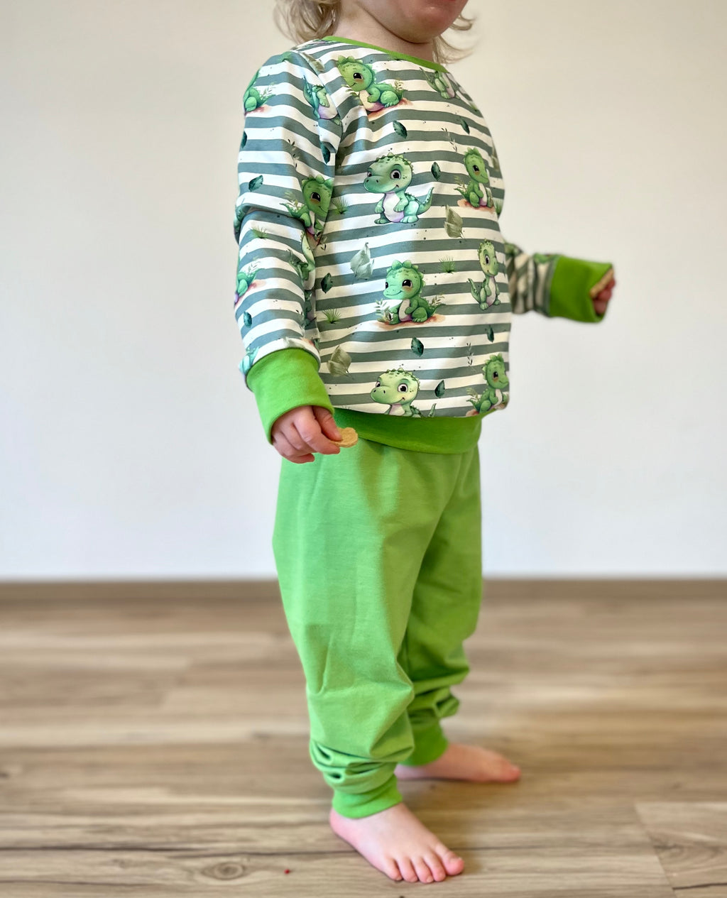 In-house production Cotton Jersey Little Dino on Green