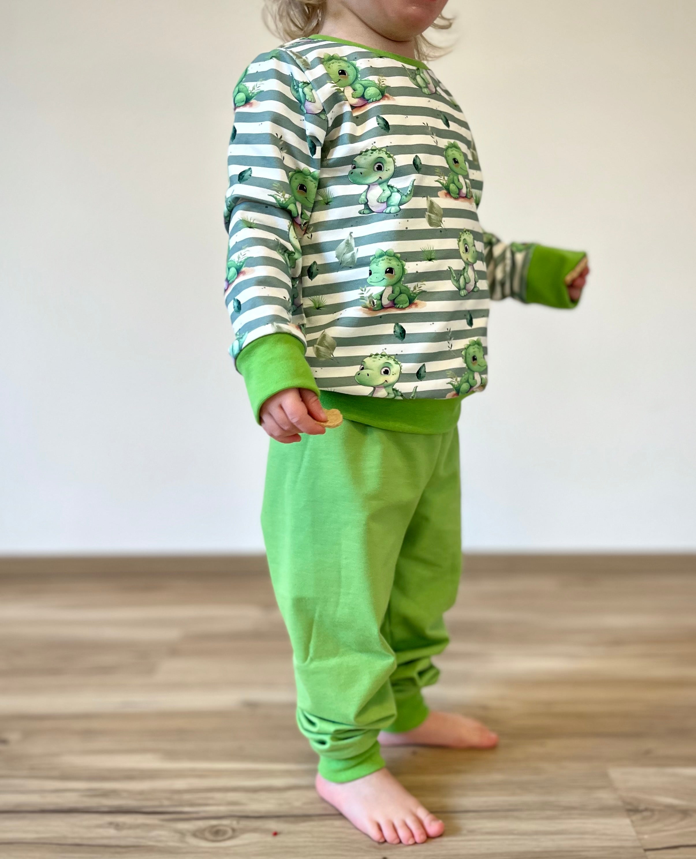 In-house production Cotton Jersey Little Dino on Green