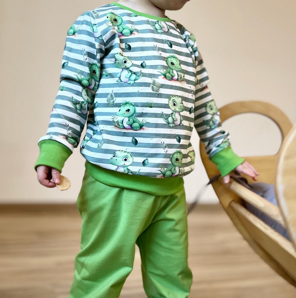 In-house production Cotton Jersey Little Dino on Green