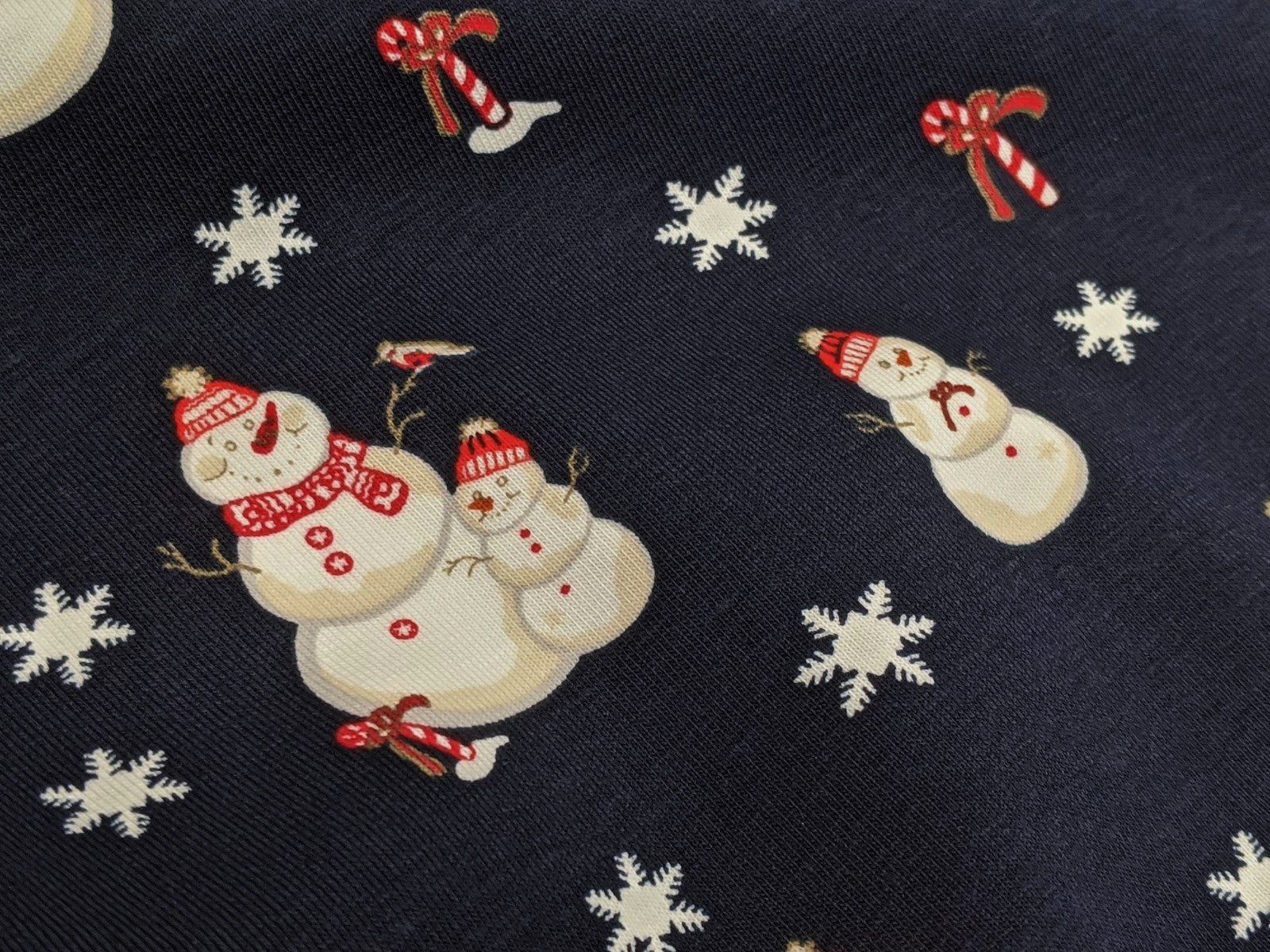 Cotton Jersey Family Snowman Snowflakes Night Blue