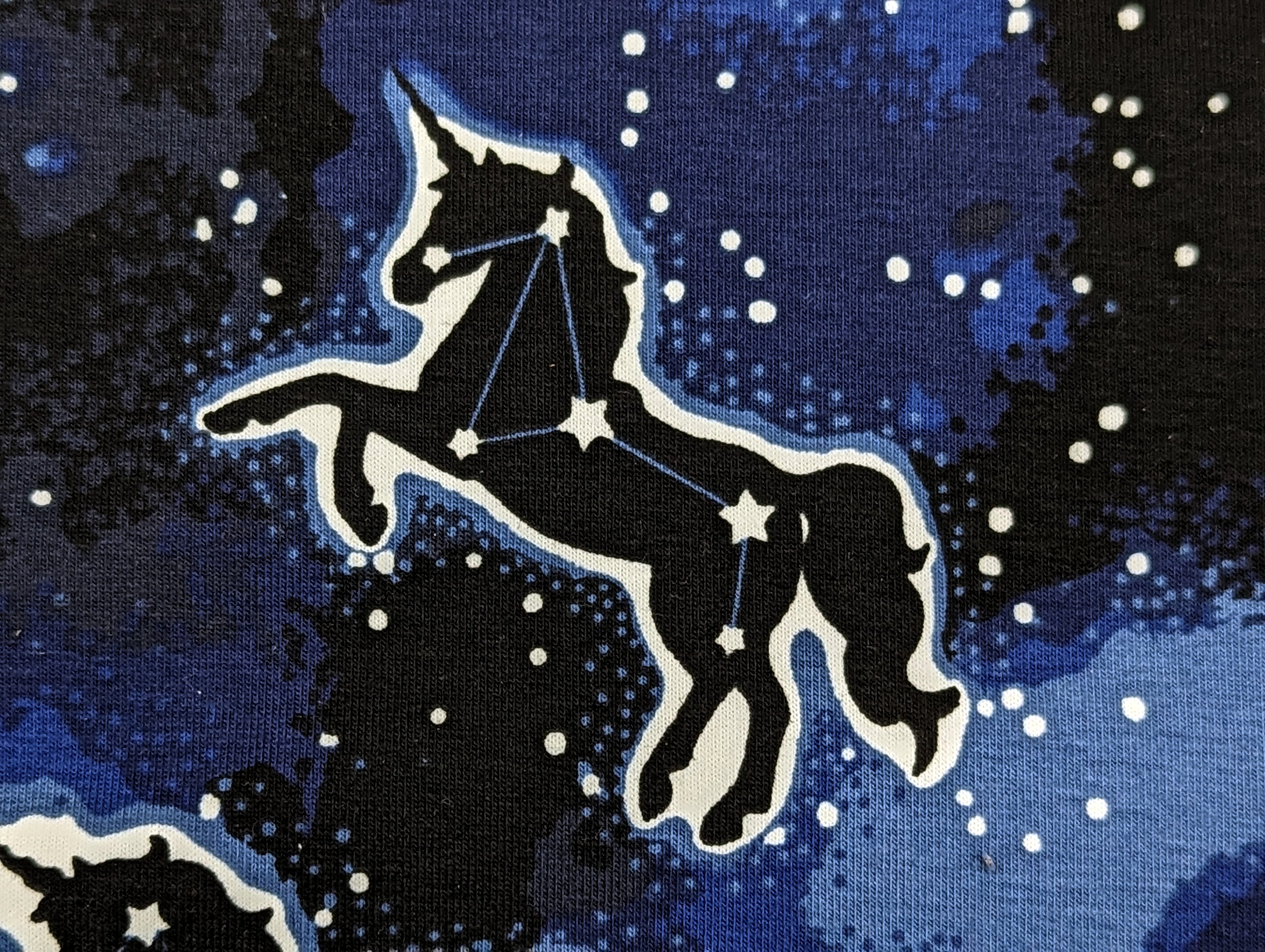 Cotton Jersey Glow in the Dark Unicorns on Blue / Night Blue "Luminous"