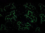 Cotton Jersey Glow in the Dark Unicorns on Blue / Night Blue "Luminous"