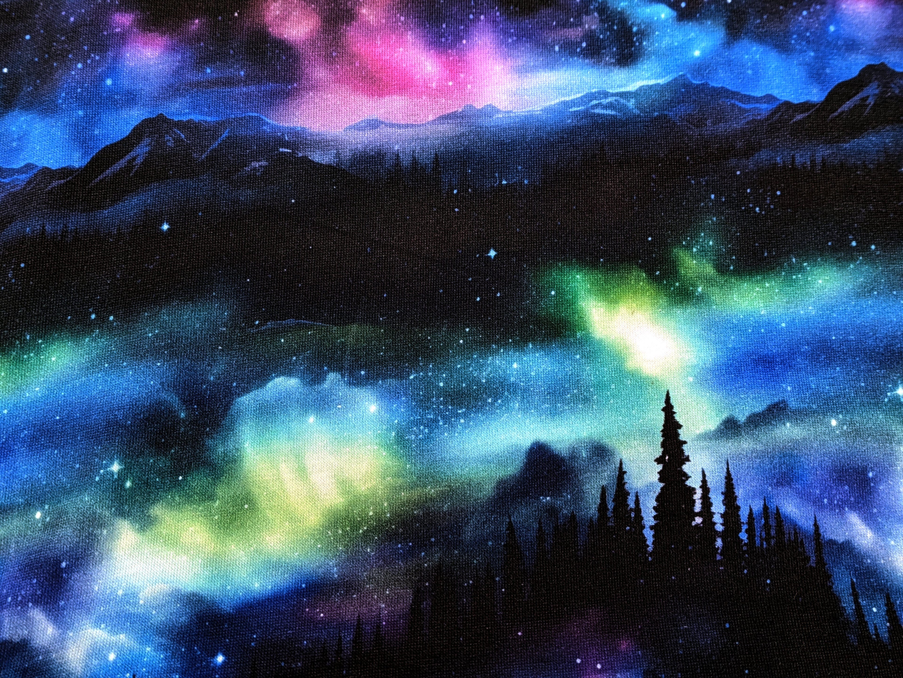 Eigenproduktion Bio Baumwolljersey Magischer Wald Berge Nordlichter auf Schwarz