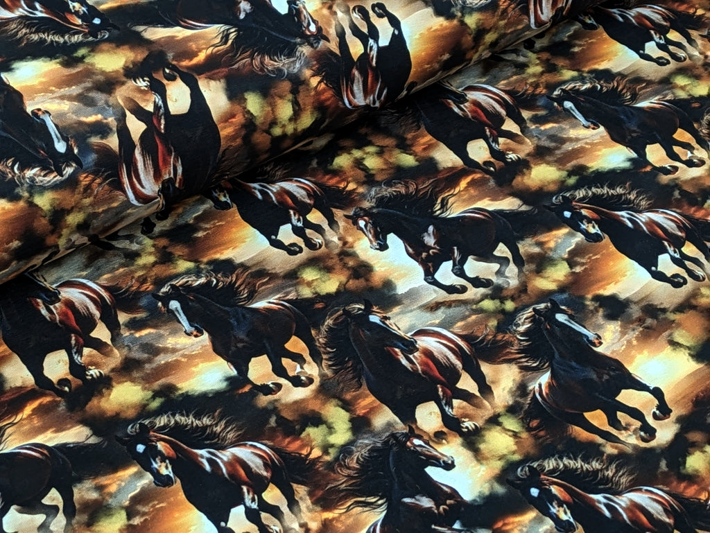 In-house Production Cotton Jersey Wild Horses on Brown