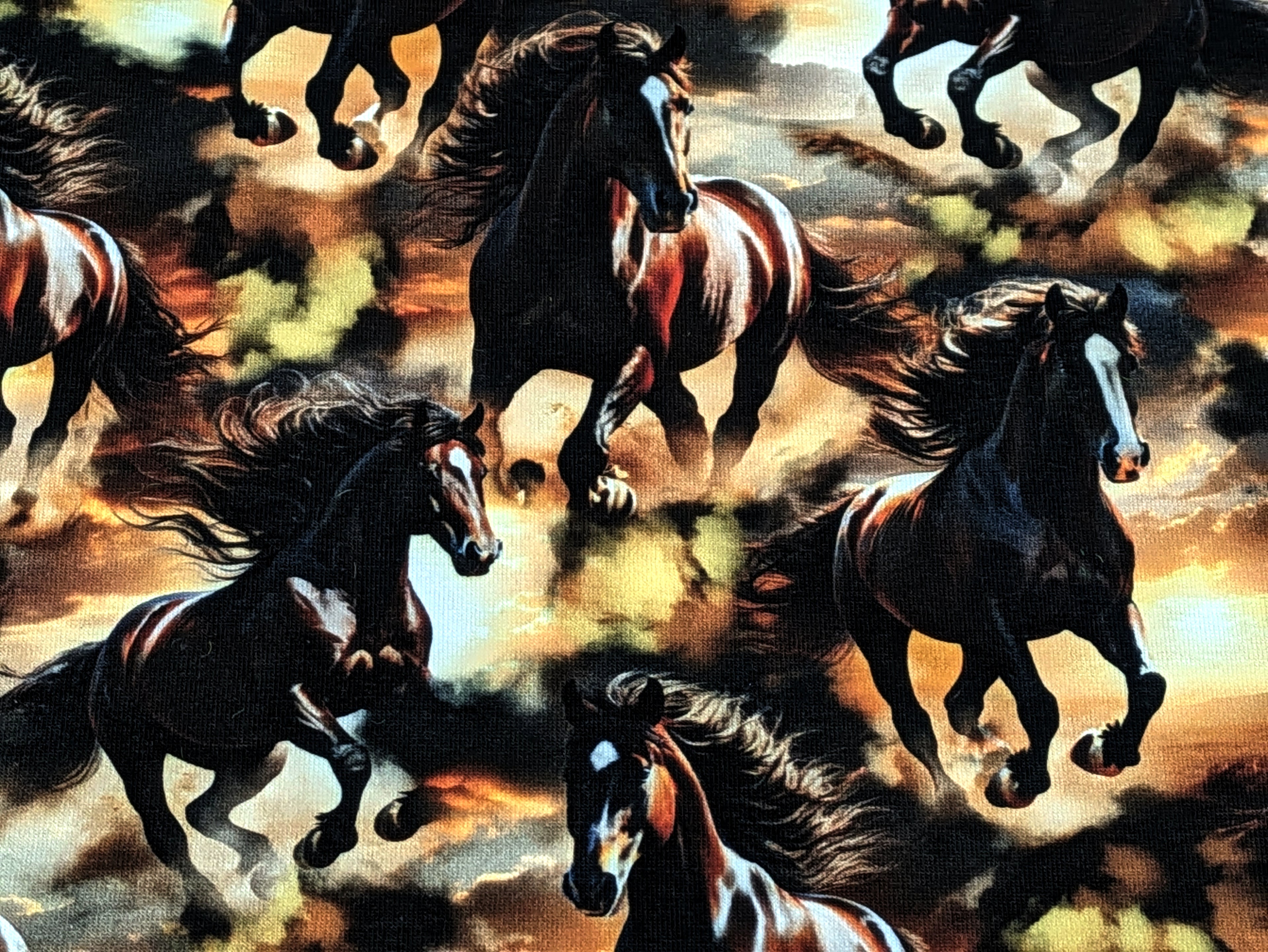 In-house Production Cotton Jersey Wild Horses on Brown