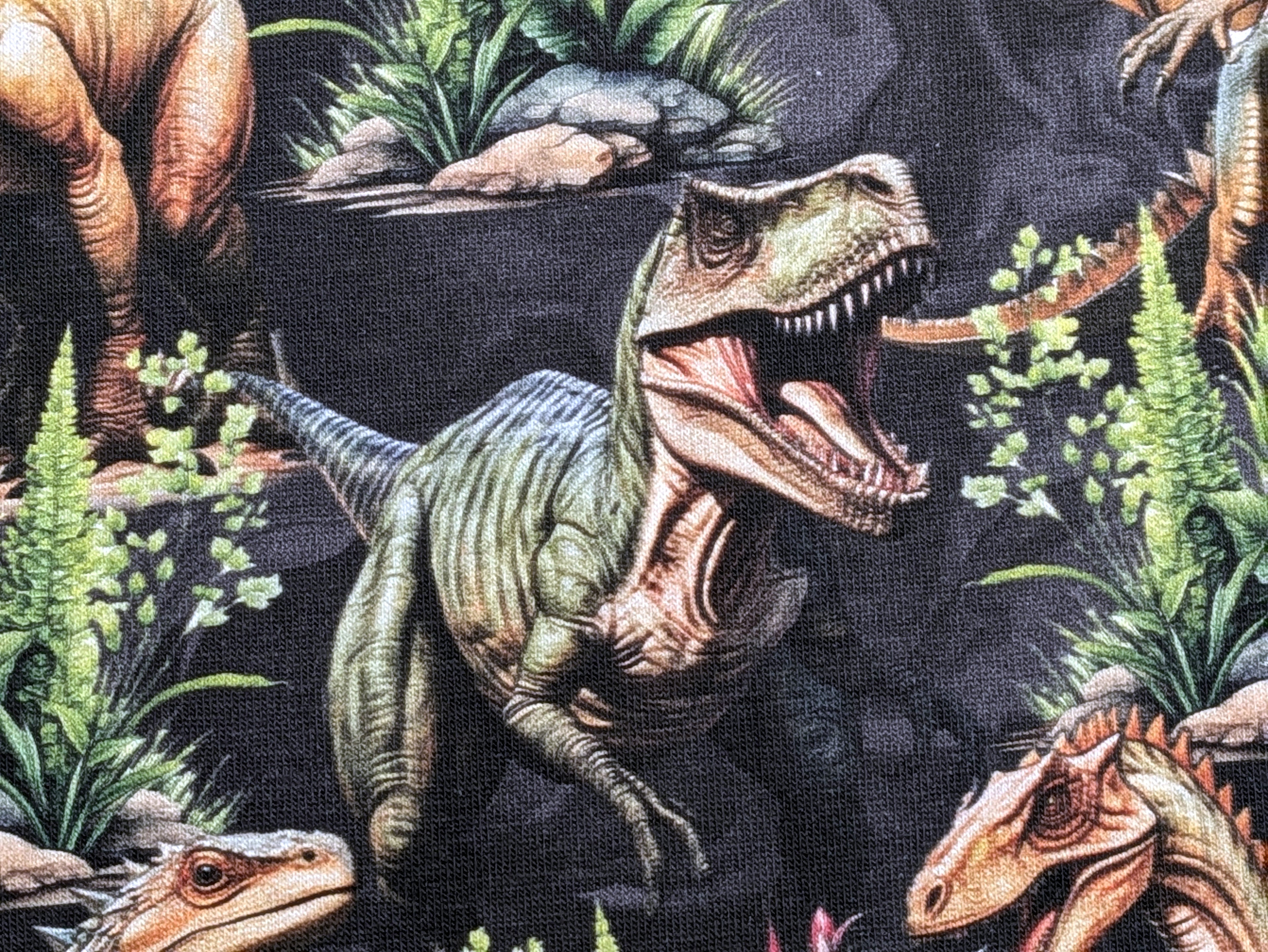 Eigenproduktion Baumwolljersey Dinosaurier Dinos Rex auf Dunkelgrau